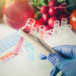 The Role of Solid Phase Extraction (SPE) in a Food and Beverage Laboratory