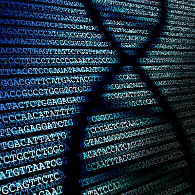 Nextera XT DNA Library Preparation on PIPETMAX® 268