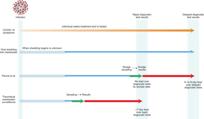 Diagram of timelines required for COVID-19 detection using different analytical methods